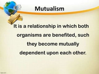 Symbiosis Powerpoint Presentation | PPTX