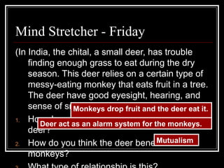 Mind Stretcher - Friday
(In India, the chital, a small deer, has trouble
finding enough grass to eat during the dry
season. This deer relies on a certain type of
messy-eating monkey that eats fruit in a tree.
The deer have good eyesight, hearing, and
sense of smell.)
1. How do you think the monkeys benefit the
deer?
2. How do you think the deer benefit the
monkeys?
Monkeys drop fruit and the deer eat it.Monkeys drop fruit and the deer eat it.
Deer act as an alarm system for the monkeys.Deer act as an alarm system for the monkeys.
MutualismMutualism
 
