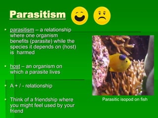 Parasitism
 parasitism – a relationship
where one organism
benefits (parasite) while the
species it depends on (host)
is harmed
 host – an organism on
which a parasite lives
 A + / - relationship
 Think of a friendship where
you might feel used by your
friend
Parasitic isopod on fish
 