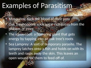 Exploring Symbiotic Relationships: Mutualism, Commensalism, and ...