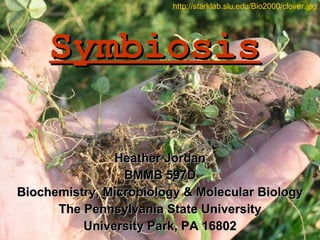 Symbiosis Heather Jordan BMMB 597D Biochemistry, Microbiology & Molecular Biology The Pennsylvania State University University Park, PA 16802 http://starklab.slu.edu/Bio2000/clover.jpg 