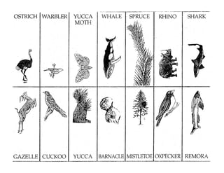 Symbiosis introduction