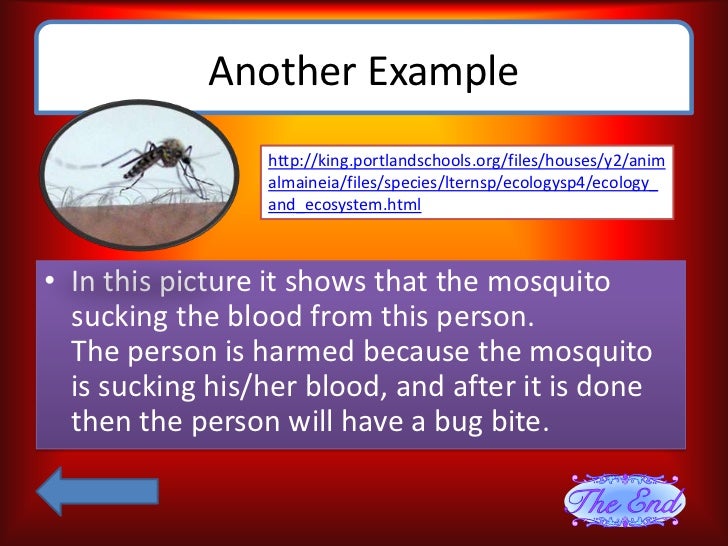 what is an example of a parasitism symbiotic relationship