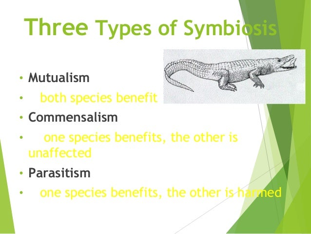 what are the 3 main types of symbiosis