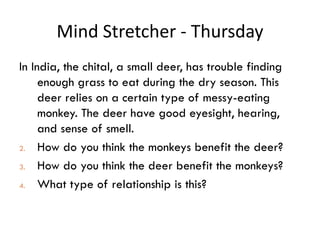 Mind Stretcher - Thursday ,[object Object],[object Object],[object Object],[object Object]