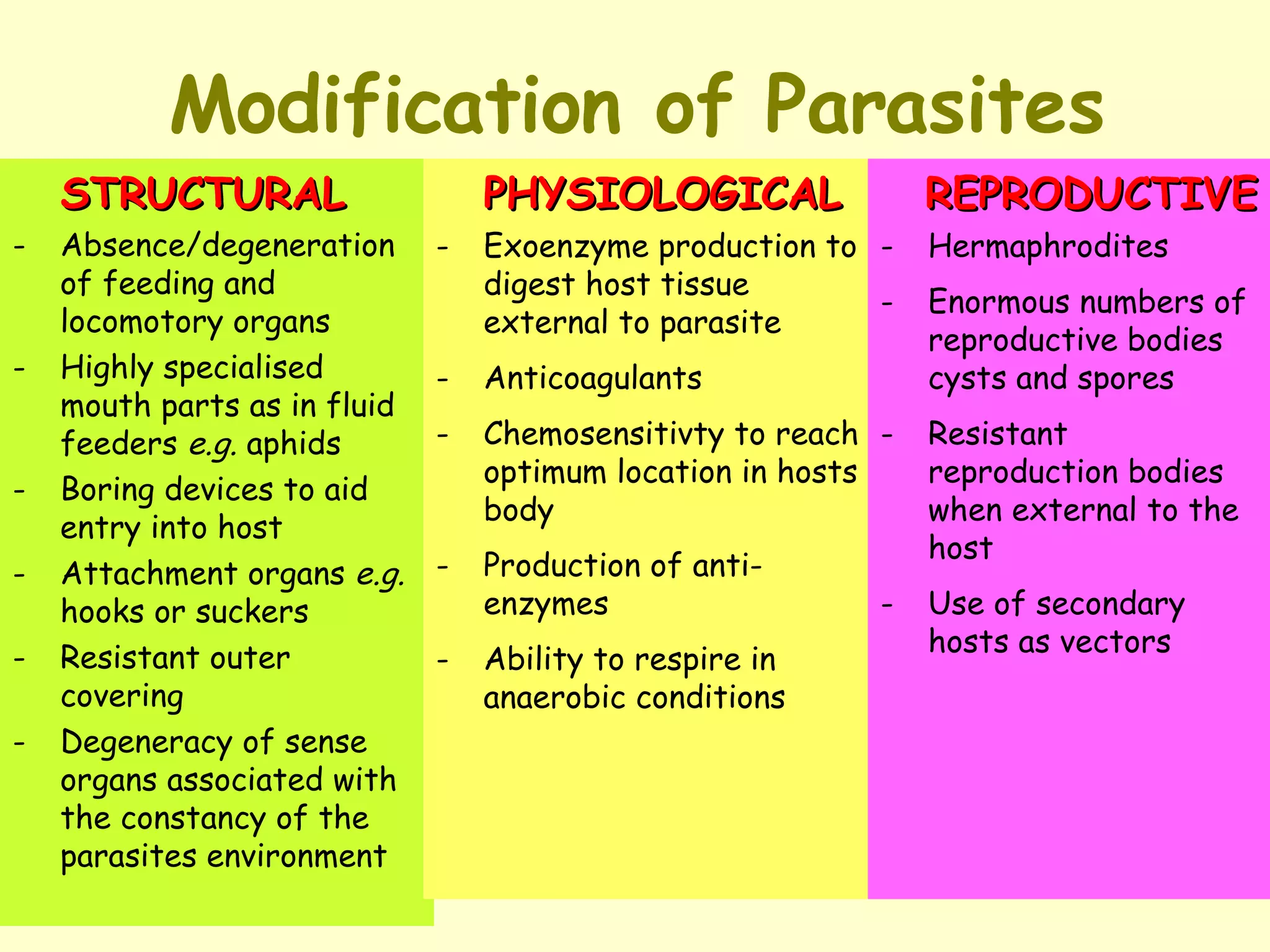 Symbiotic Relationships | PPT