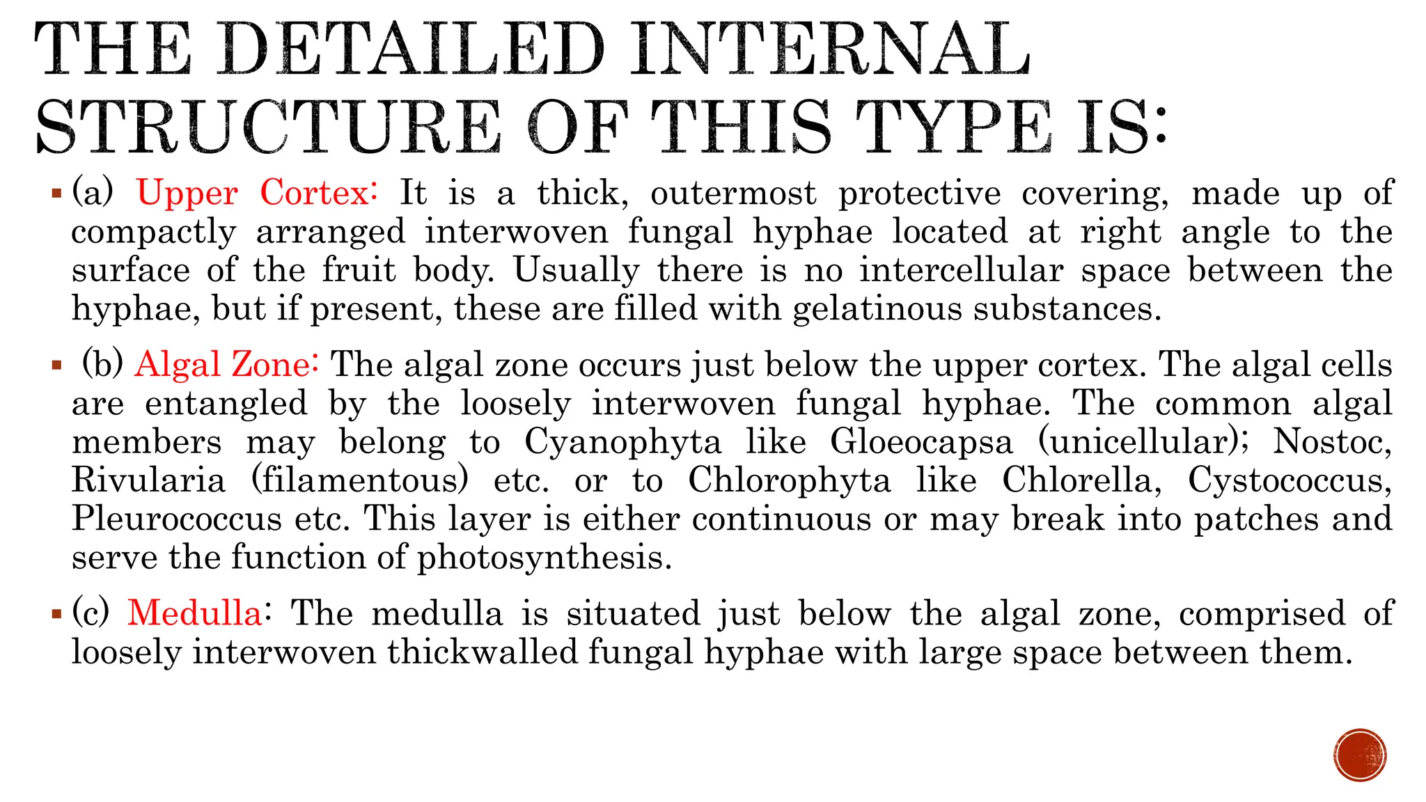 Introduction and significance of Symbiotic algae | PPTX