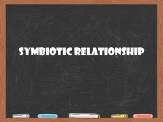 Symbiotic Relationship
 