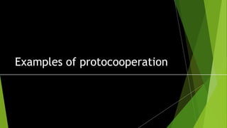 Protocooperation Easy Examples Symbiotic relationship | PPTX