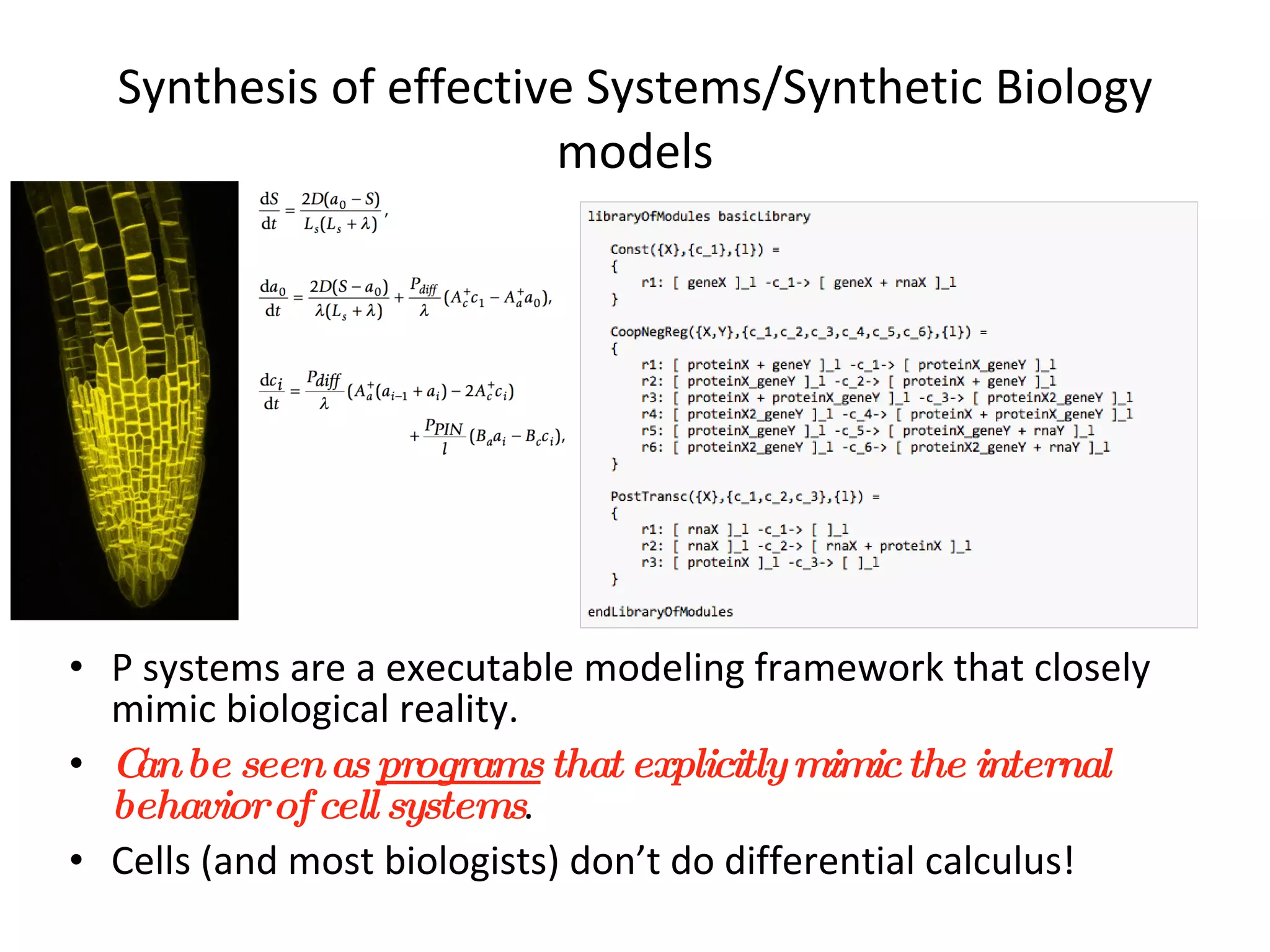 Synthesis of effective Systems/Synthetic Biology models P systems are a executable modeling framework that closely mimic biological reality. Can be seen as  programs  that explicitly mimic the internal behavior of cell systems . Cells (and most biologists) don’t do differential calculus! 