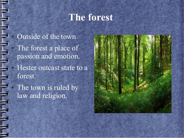 symbolism in scarlet letter paper 10 scarlet letter forest