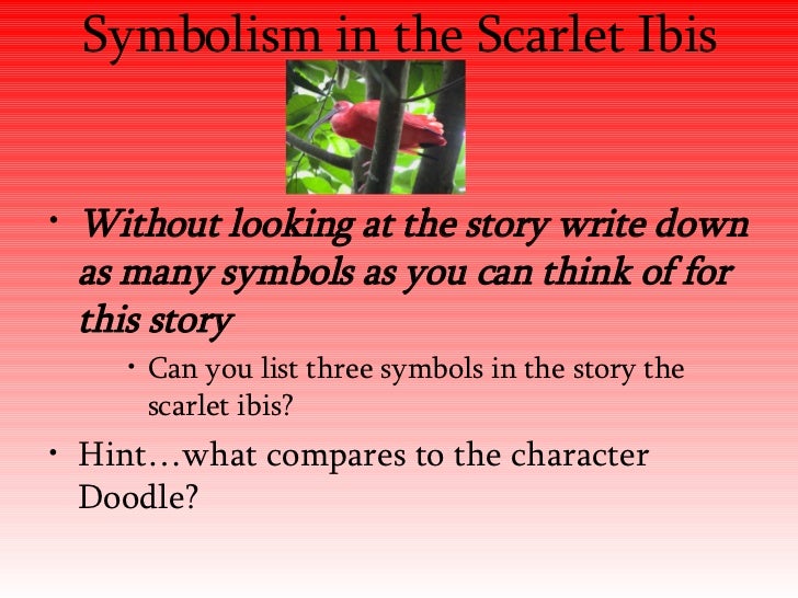 What are types of symbolism in the story "the scarlet ibis 