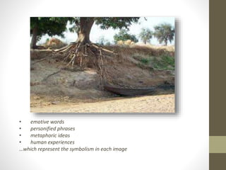 • emotive words 
• personified phrases 
• metaphoric ideas 
• human experiences 
…which represent the symbolism in each image 
 