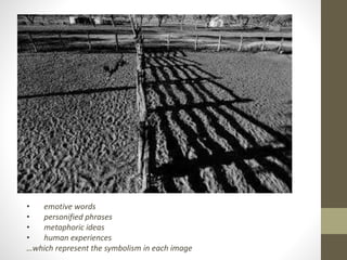 • emotive words 
• personified phrases 
• metaphoric ideas 
• human experiences 
…which represent the symbolism in each image 
 