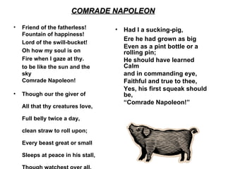 COMRADE NAPOLEON Friend of the fatherless!   Fountain of happiness! Lord of the swill-bucket !  Oh how my soul is on Fire when I gaze at thy.  to be like the sun and the sky Comrade Napoleon!  Though our the giver of  All that thy creatures love,  Full belly twice a day,  clean straw to roll upon;  Every beast great or small  Sleeps at peace in his stall,  Though watchest over all,  Comrade Napoleon! Had I a sucking-pig,  Ere he had grown as big  Even as a pint bottle or a rolling pin; He should have learned Calm  and in commanding eye,  Faithful and true to thee,  Yes, his first squeak should be, “ Comrade Napoleon!”  