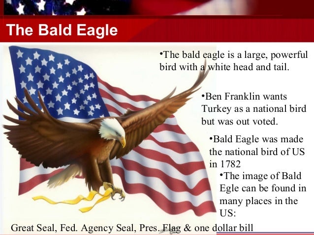 strength of bird is symbol what the America Symbols of