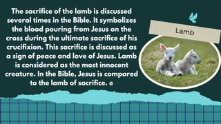 Lamb
The sacrifice of the lamb is discussed
several times in the Bible. It symbolizes
the blood pouring from Jesus on the
cross during the ultimate sacrifice of his
crucifixion. This sacrifice is discussed as
a sign of peace and love of Jesus. Lamb
is considered as the most innocent
creature. In the Bible, Jesus is compared
to the lamb of sacrifice. e
 