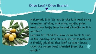 Nehemiah 8:15 “Go out to the hills and bring
branches of olive, wild olive, myrtle, palm,
and other leafy trees to make booths, as it is
written.”
Genesis 8:11 “And the dove came back to him
in the evening, and behold, in her mouth was
a freshly plucked olive leaf. So Noah knew
that the waters had subsided from the
earth.”
Olive Leaf / Olive Branch
 