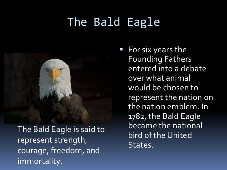 What is the national bird of the USA?