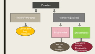 Parasites
Temporary Parasites Permanent parasites
Ectoparasites Endoparasites
Leech, bed
bug,
mosquito
leeches,
lice,
Mosquito
tapeworm,
Ascaris,
Entamoeba,
Plasmodium
 