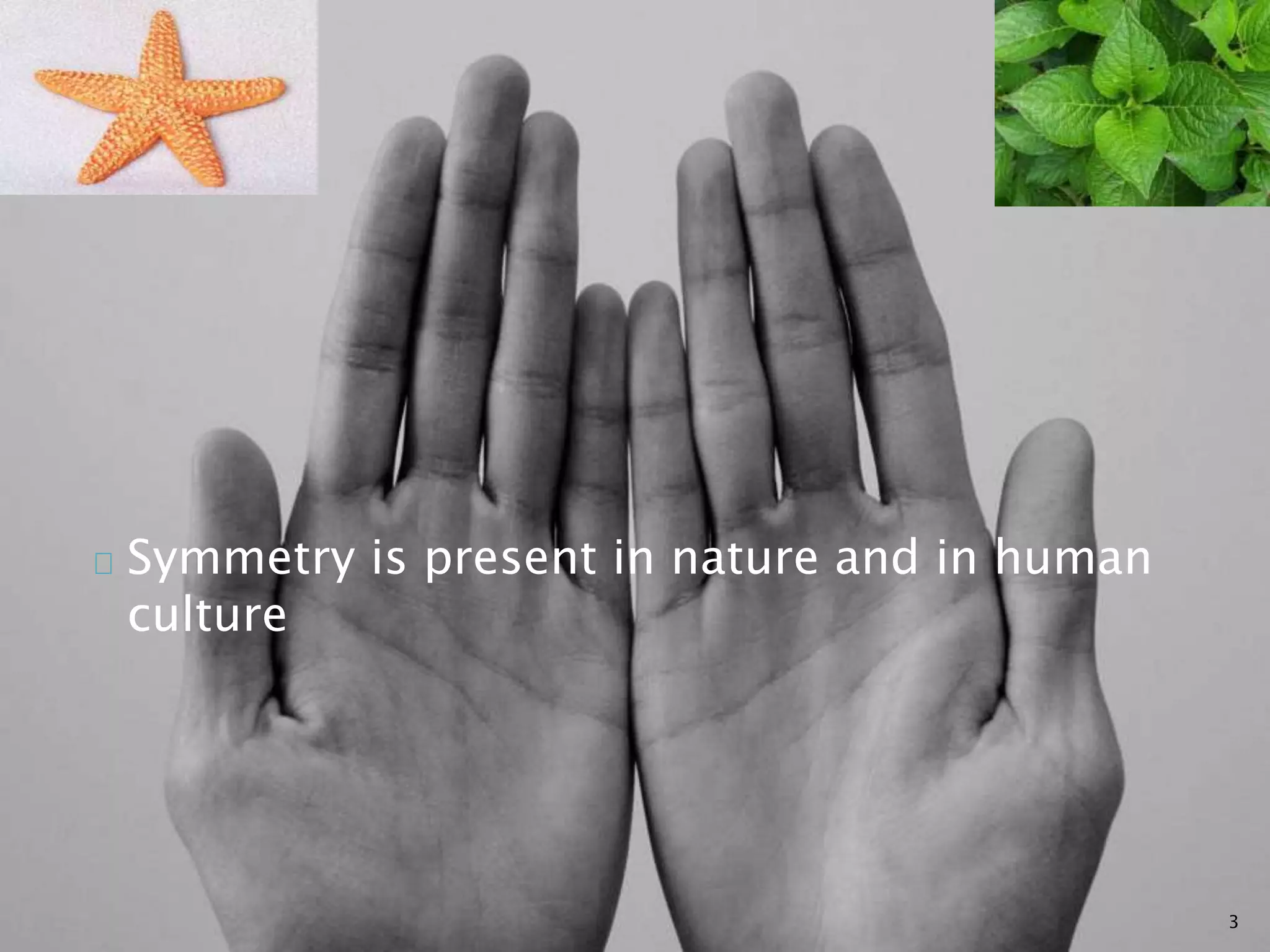 Symmetry is present in nature and in human 
culture 
3 
 