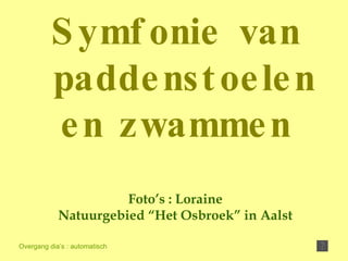 Foto’s : Loraine Natuurgebied “Het Osbroek” in Aalst Overgang dia’s : automatisch Symfonie van paddenstoelen en zwammen 