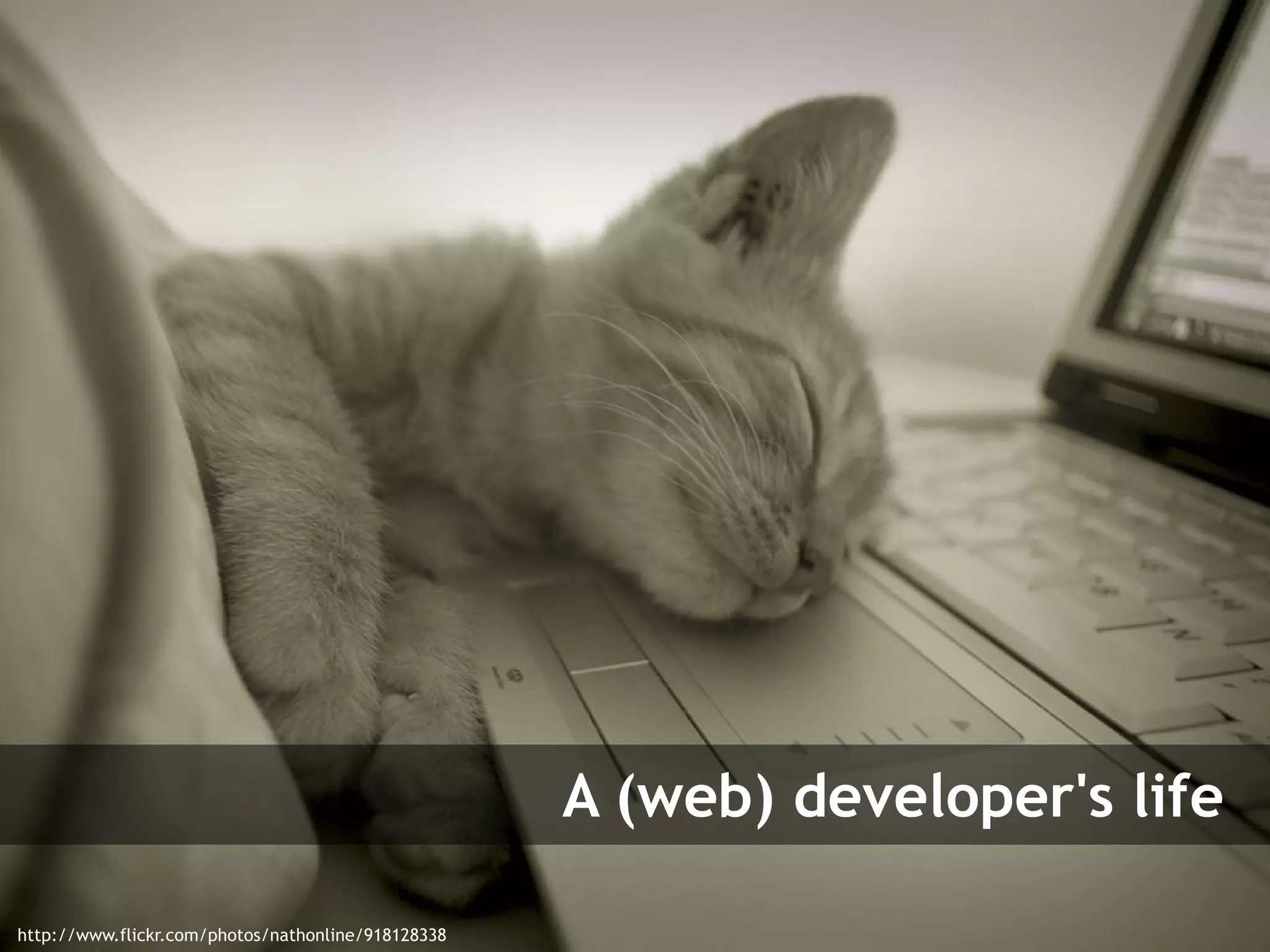 A (web) developer's life
    Symfony Day – 4. Juni 2009
    Clever Age | Xavier Lacot
http://www.flickr.com/photos/nathonline/918128338
                                                                               4
 