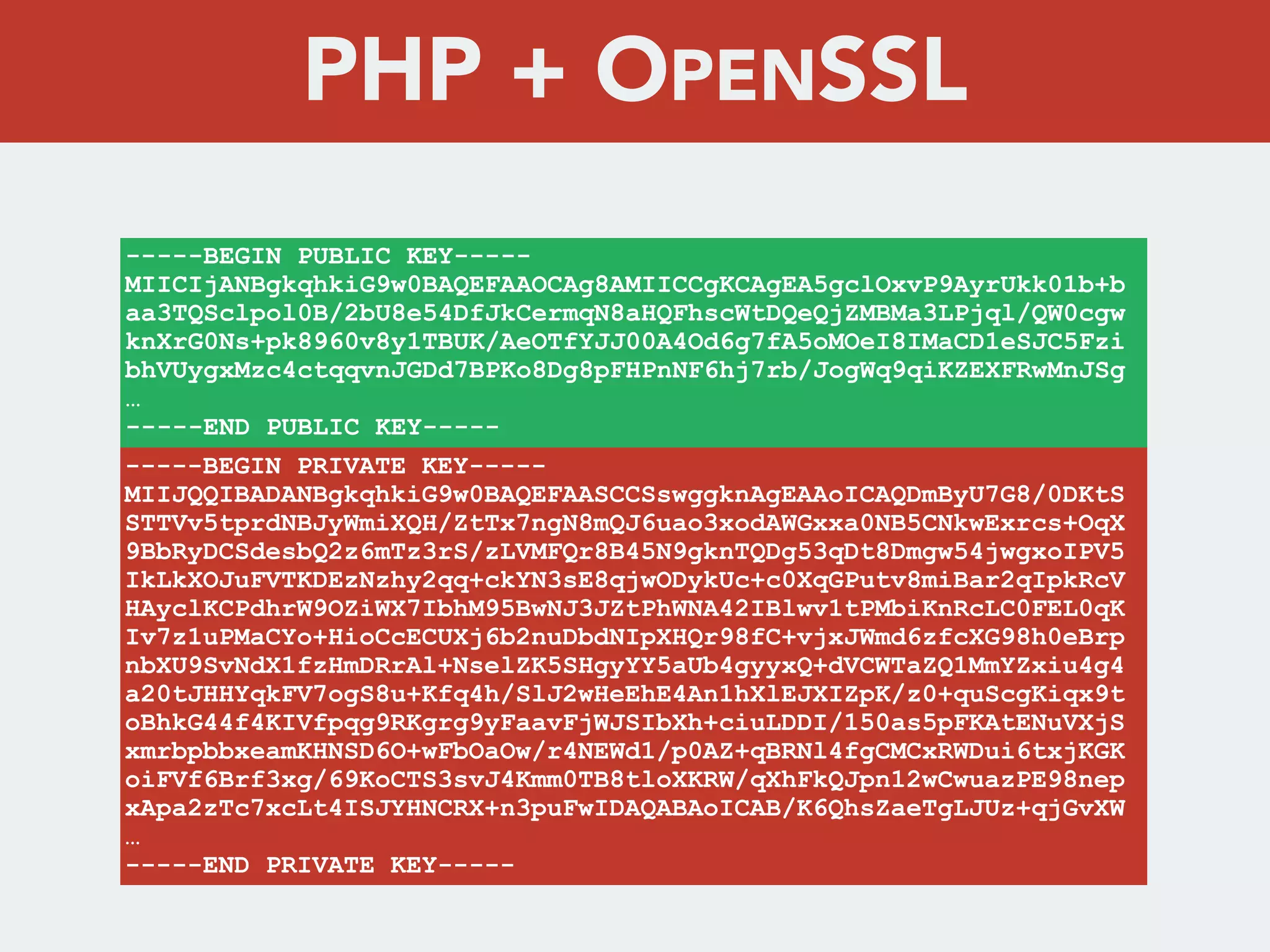 -----BEGIN PUBLIC KEY-----
MIICIjANBgkqhkiG9w0BAQEFAAOCAg8AMIICCgKCAgEA5gclOxvP9AyrUkk01b+b
aa3TQSclpol0B/2bU8e54DfJkCermqN8aHQFhscWtDQeQjZMBMa3LPjql/QW0cgw
knXrG0Ns+pk8960v8y1TBUK/AeOTfYJJ00A4Od6g7fA5oMOeI8IMaCD1eSJC5Fzi
bhVUygxMzc4ctqqvnJGDd7BPKo8Dg8pFHPnNF6hj7rb/JogWq9qiKZEXFRwMnJSg
…
-----END PUBLIC KEY-----
-----BEGIN PRIVATE KEY-----
MIIJQQIBADANBgkqhkiG9w0BAQEFAASCCSswggknAgEAAoICAQDmByU7G8/0DKtS
STTVv5tprdNBJyWmiXQH/ZtTx7ngN8mQJ6uao3xodAWGxxa0NB5CNkwExrcs+OqX
9BbRyDCSdesbQ2z6mTz3rS/zLVMFQr8B45N9gknTQDg53qDt8Dmgw54jwgxoIPV5
IkLkXOJuFVTKDEzNzhy2qq+ckYN3sE8qjwODykUc+c0XqGPutv8miBar2qIpkRcV
HAyclKCPdhrW9OZiWX7IbhM95BwNJ3JZtPhWNA42IBlwv1tPMbiKnRcLC0FEL0qK
Iv7z1uPMaCYo+HioCcECUXj6b2nuDbdNIpXHQr98fC+vjxJWmd6zfcXG98h0eBrp
nbXU9SvNdX1fzHmDRrAl+NselZK5SHgyYY5aUb4gyyxQ+dVCWTaZQ1MmYZxiu4g4
a20tJHHYqkFV7ogS8u+Kfq4h/SlJ2wHeEhE4An1hXlEJXIZpK/z0+quScgKiqx9t
oBhkG44f4KIVfpqg9RKgrg9yFaavFjWJSIbXh+ciuLDDI/150as5pFKAtENuVXjS
xmrbpbbxeamKHNSD6O+wFbOaOw/r4NEWd1/p0AZ+qBRNl4fgCMCxRWDui6txjKGK
oiFVf6Brf3xg/69KoCTS3svJ4Kmm0TB8tloXKRW/qXhFkQJpn12wCwuazPE98nep
xApa2zTc7xcLt4ISJYHNCRX+n3puFwIDAQABAoICAB/K6QhsZaeTgLJUz+qjGvXW
…
-----END PRIVATE KEY-----
PHP + OPENSSL
 