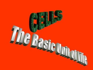 CELLS The Basic Unit of Life 
