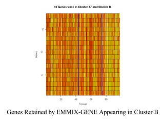 Genes Retained by EMMIX-GENE Appearing in Cluster B
 