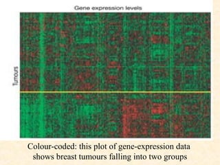 Colour-coded: this plot of gene-expression data
 shows breast tumours falling into two groups
 