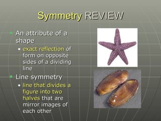 Symmetry  REVIEW An attribute of a shape  exact reflection  of form on opposite sides of a dividing line Line symmetry  line that divides a figure into two halves  that are mirror images of each other 