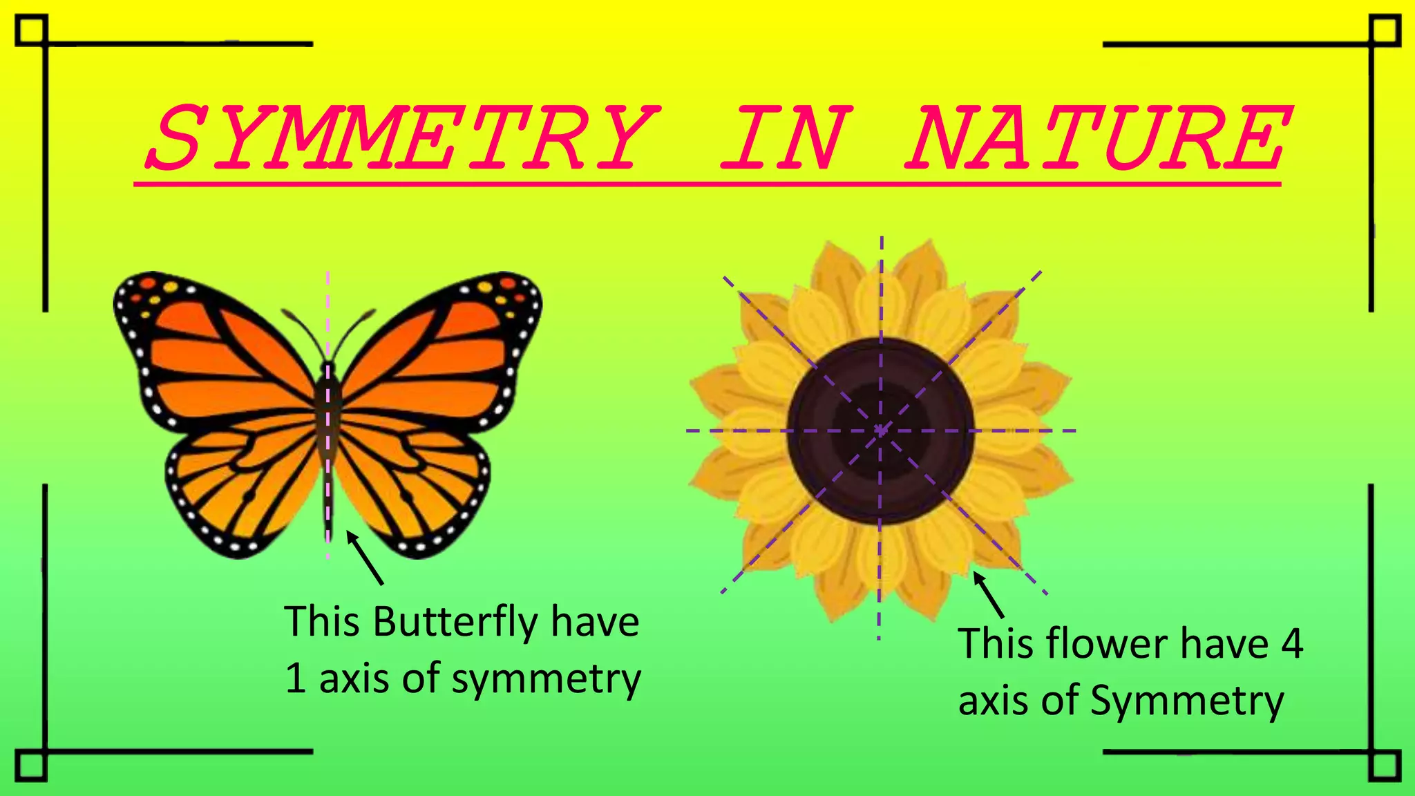 SYMMETRY IN NATURE
This Butterfly have
1 axis of symmetry
This flower have 4
axis of Symmetry