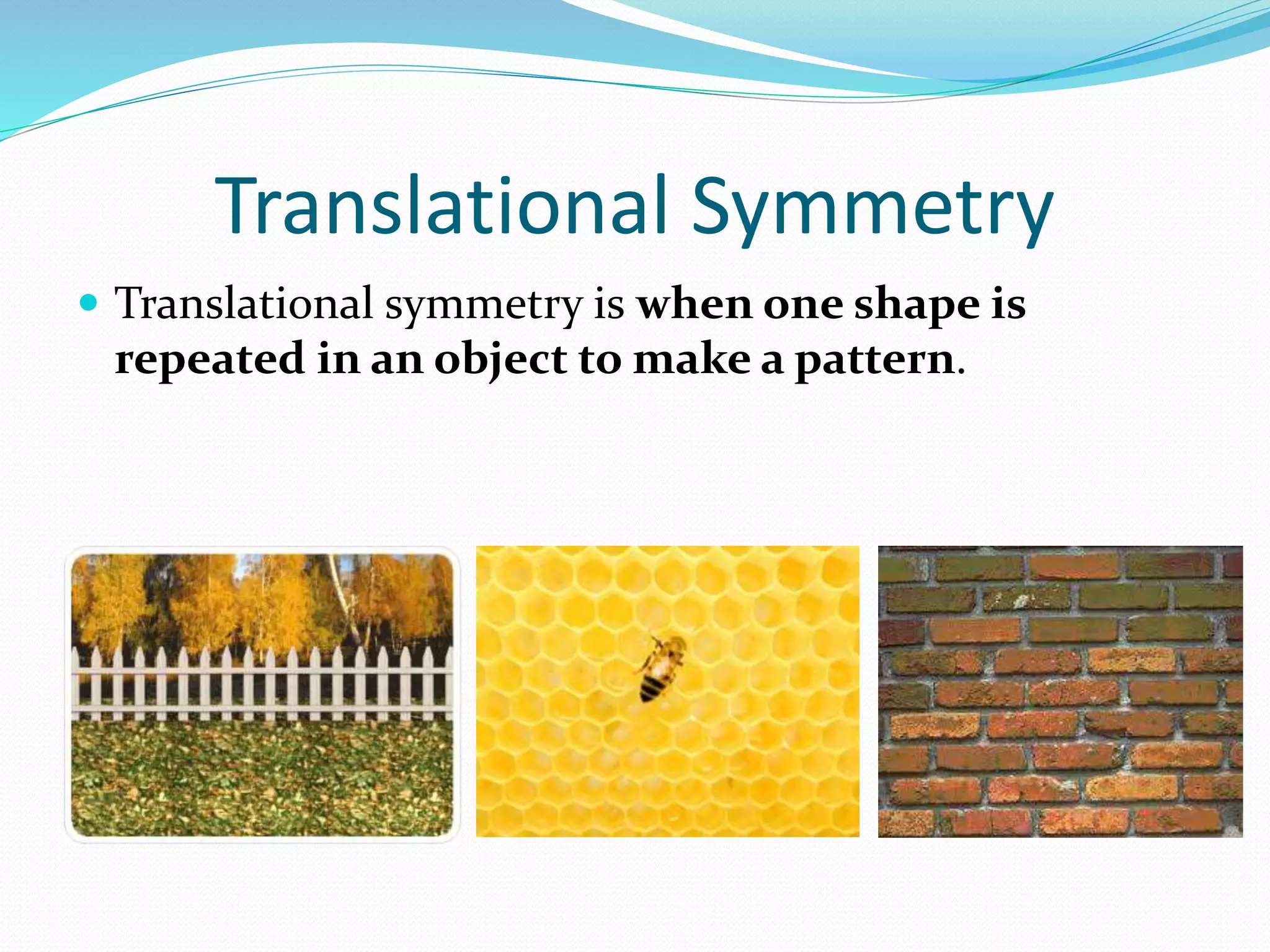 Symmetry.pptx | Physics | Science