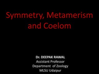 Symmetry, Metamerism
and Coelom
Dr. DEEPAK RAWAL
Assistant Professor
Department of Zoology
MLSU Udaipur
 
