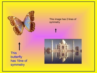 This
butterfly
has 1line of
symmetry
This image has 2 lines of
symmetry
 