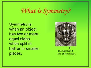 What is Symmetry? Symmetry is when an object has two or more equal sides when split in half or in smaller pieces. The tige...