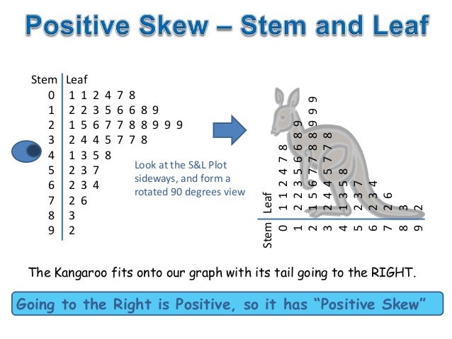 skewed to stem and the plot leaf right Leaf  How Guide Refrence And  To Diagram Images Meaning