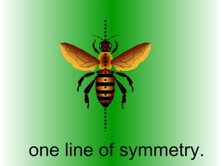 one line of symmetry.
 