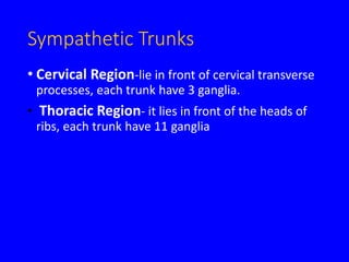 Sympathetic Trunks
• Cervical Region-lie in front of cervical transverse
processes, each trunk have 3 ganglia.
• Thoracic Region- it lies in front of the heads of
ribs, each trunk have 11 ganglia
 