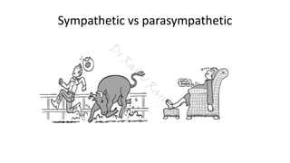 Sympathetic vs parasympathetic
D
rRajiv
Ranjan
 