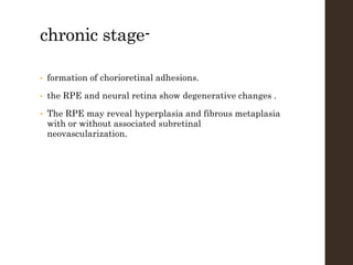 chronic stage-
• formation of chorioretinal adhesions.
• the RPE and neural retina show degenerative changes .
• The RPE may reveal hyperplasia and fibrous metaplasia
with or without associated subretinal
neovascularization.
 