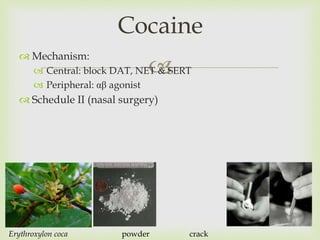 
Cocaine
 Mechanism:
 Central: block DAT, NET & SERT
 Peripheral: αβ agonist
 Schedule II (nasal surgery)
Erythroxylon coca powder crack
 