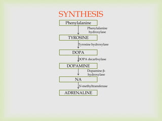 SYNTHESIS
TYROSINE
DOPA
DOPAMINE
NA
ADRENALINE
Tyrosine hydroxylase
DOPA decarbxylase
Dopamine β-
hydroxylase
N-methyltransferase
Phenylalanine
Phenylalanine
hydroxylase
 