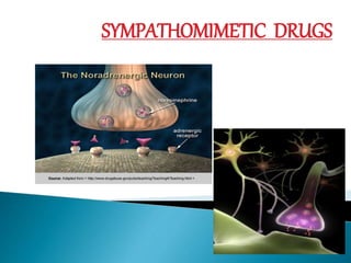 SYMPATHOMIMETIC DRUGS
 