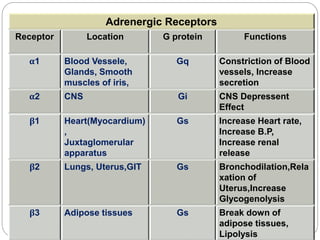 Adrenergic Receptors
Receptor Location G protein Functions
α1 Blood Vessele,
Glands, Smooth
muscles of iris,
Gq Constriction of Blood
vessels, Increase
secretion
α2 CNS Gi CNS Depressent
Effect
β1 Heart(Myocardium)
,
Juxtaglomerular
apparatus
Gs Increase Heart rate,
Increase B.P,
Increase renal
release
β2 Lungs, Uterus,GIT Gs Bronchodilation,Rela
xation of
Uterus,Increase
Glycogenolysis
β3 Adipose tissues Gs Break down of
adipose tissues,
Lipolysis
 