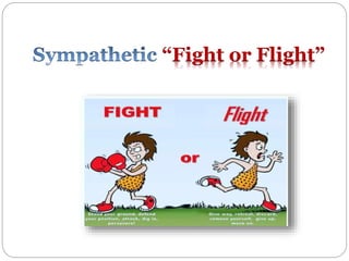 “Fight or Flight”
 
