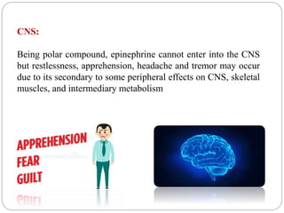 CNS:
Being polar compound, epinephrine cannot enter into the CNS
but restlessness, apprehension, headache and tremor may occur
due to its secondary to some peripheral effects on CNS, skeletal
muscles, and intermediary metabolism
 