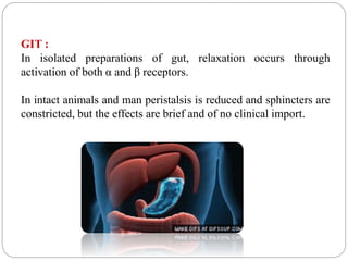 GIT :
In isolated preparations of gut, relaxation occurs through
activation of both α and β receptors.
In intact animals and man peristalsis is reduced and sphincters are
constricted, but the effects are brief and of no clinical import.
 