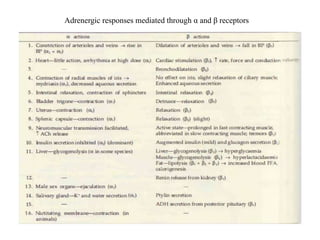 Adrenergic responses mediated through α and β receptors
 